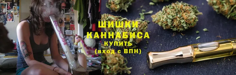 Бошки марихуана Amnesia  где купить   Николаевск-на-Амуре 